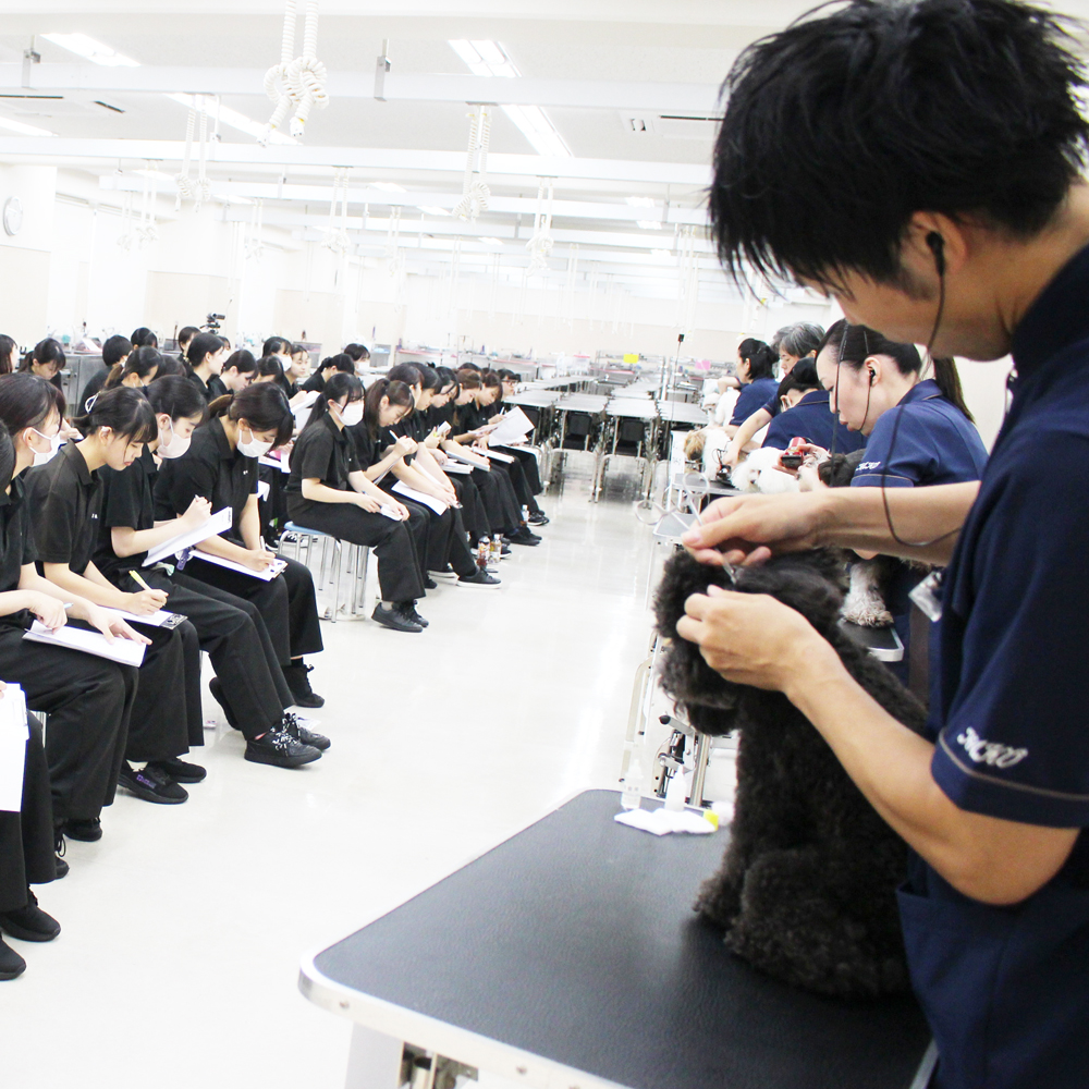２年生へ向けて先生の試技会～午後の部～